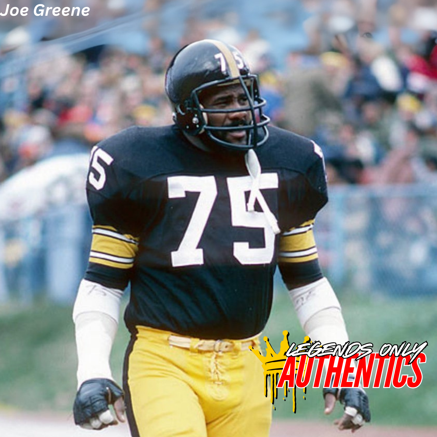 Joe Greene Private Autograph Signing