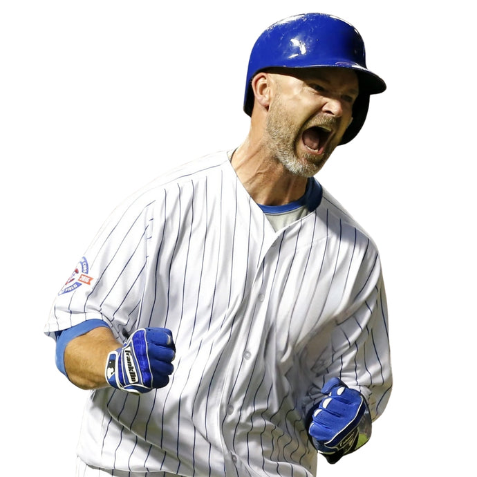 David Ross Private Autograph Signing