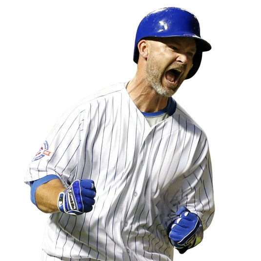 David Ross Private Autograph Signing